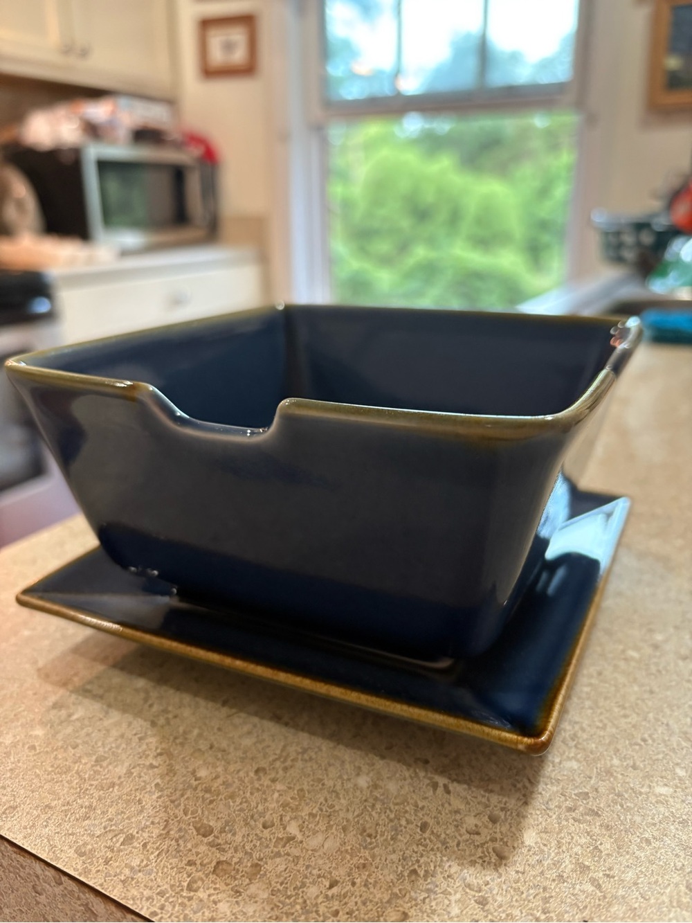 Pottery Barn Asian Square Noodle Bowl with Matching Plate